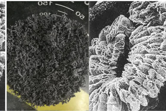 +100 Maquillaje de grafito expandido de alto carbono