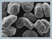 Pureza elevada material de Li-Ion Batteries Hensen Graphite Anode