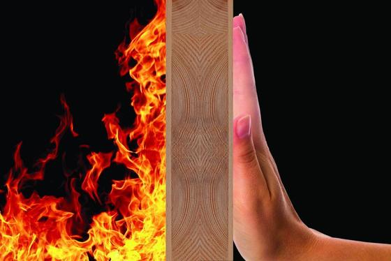 Relación de expansión 270/g Min Polvo de grafito expandible