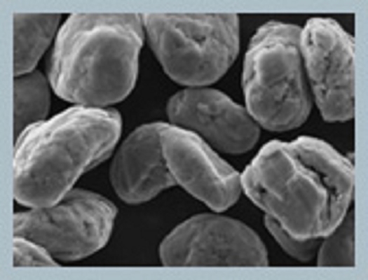 0,5% carbonos 0.9-1.05g/Cc de Li Ion Graphite 5um-25um 97-99.98% de la humedad altos